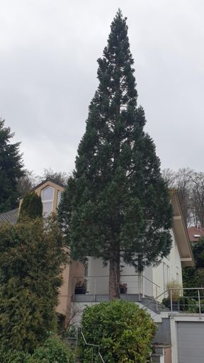 Schmitten_ID23807_BM_Am Weißen Berg 39