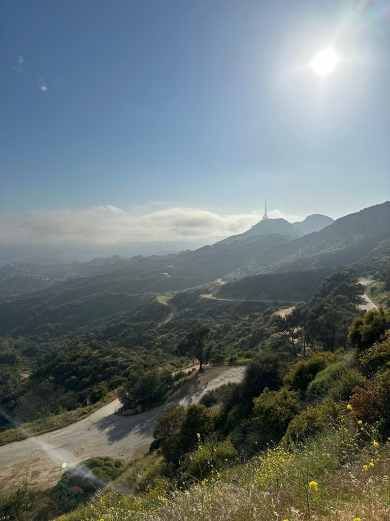 NBB run - Lake Hollywood: фото 85