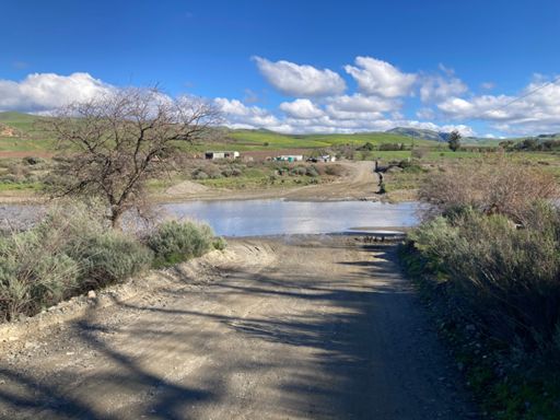 Tres pinos creek at Brown’s valley road. 