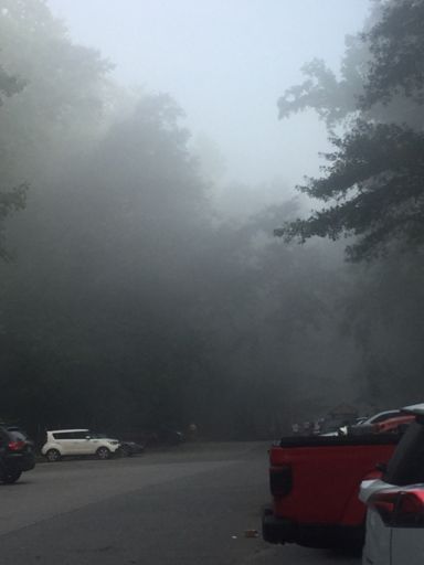 Zombie weather.
Fog or smog?


