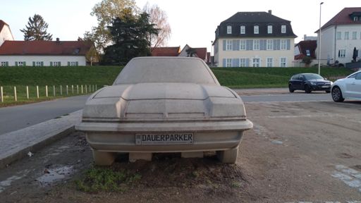 "Dauerparker" am Rüsselsheimer Mainufer