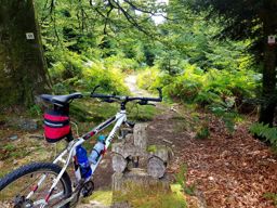 VTT MTB Val Donon