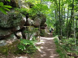 Rando Ottrott Dreistein Ste-Odile