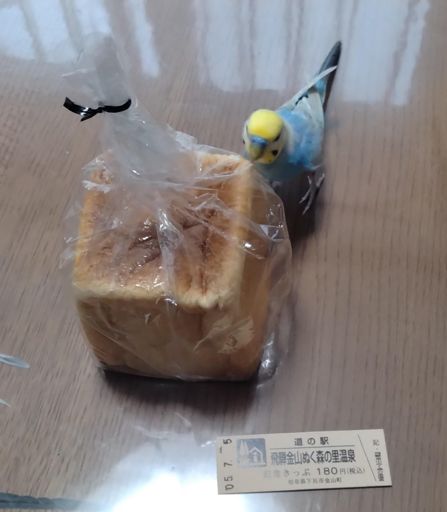 サイコロ食パン買ってこいと指令が来たので背ポケに入れてジャスト100km、無事やった！