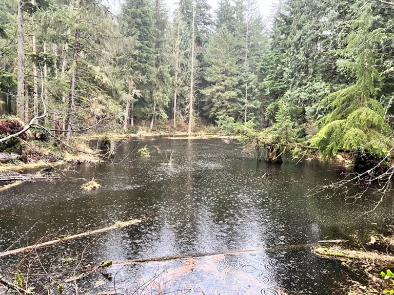 Redmond Watershed Preserve V3 4 5 Mi Running Route On Strava redmond-watershed-preserve-v3-4-5-mi-running-route-on-strava