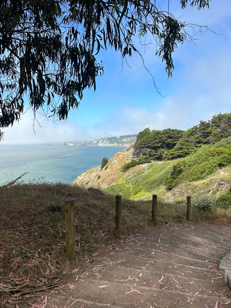 Butterlap (Presidio & Golden Gate Park) photo 48