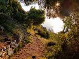 Beaulieu à Eze-village