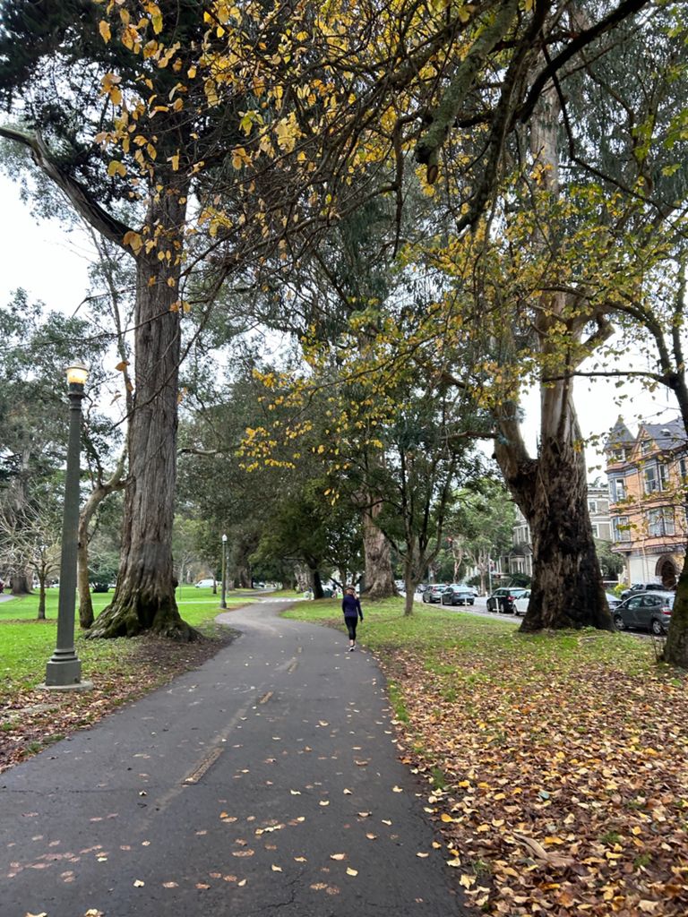 Butterlap (Presidio & Golden Gate Park) photo 8