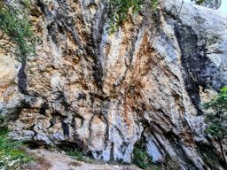 Le crane de Colombier