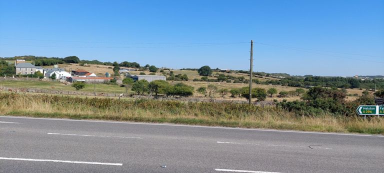 Lama, a deer? and turbine in the background, when approaching Longdowns