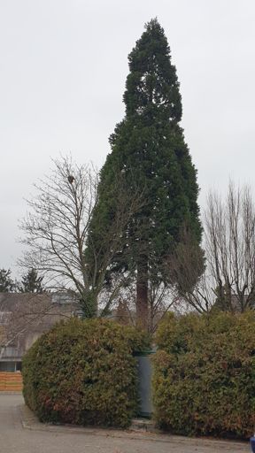 Harxheim_ID24206_BM_Am Rheinhessenblick 10