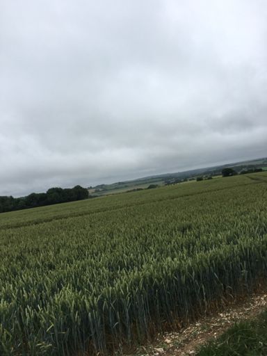 Image does the view no justice - old hill fort in the distance