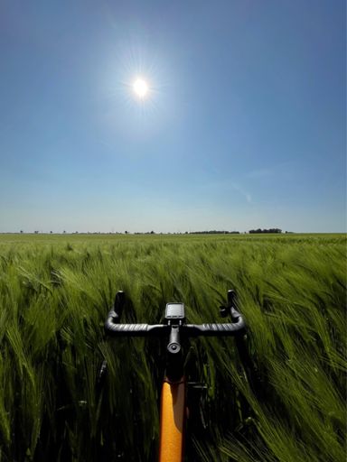 super nice today, but windy like hell