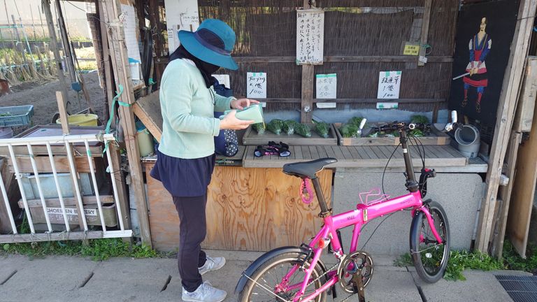 無人販売に弱い奥様、ブロッコリー 100円を購入。