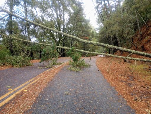 At the highest point on Wildcat . . . not much danger of running into it at high speed.