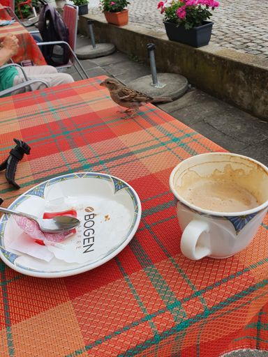 A little bird told me...