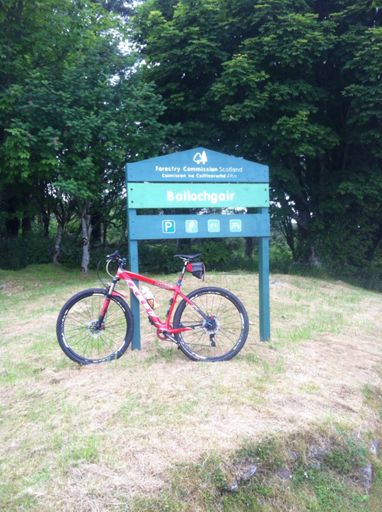 Propa mint virgin trails