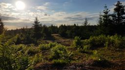 Sortie à vélo le soir