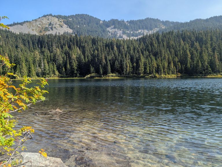 «» — фото 5