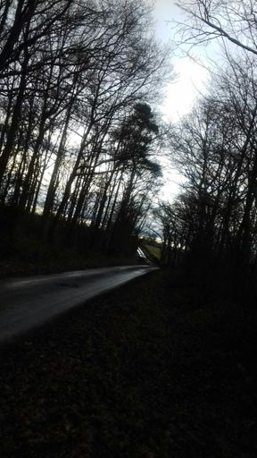 Spring is coming . . .