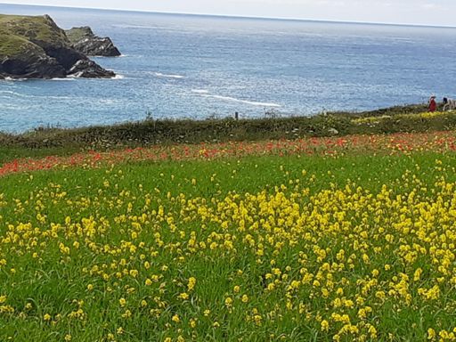 Give it a couple of weeks 😉