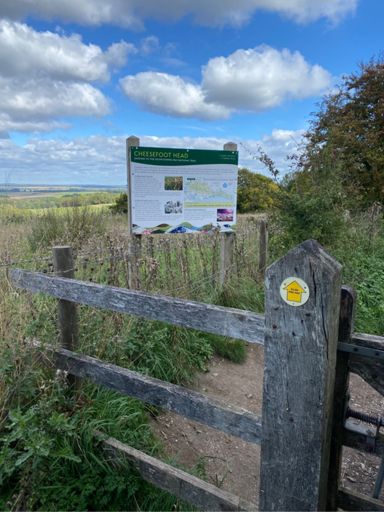 The little yellow arrow is the Allan along Way sign though this section joins the South Downs Way.  Cheesefoot Head (above) marked a decent downhill section - not that I could really take advantage of it!! 😆