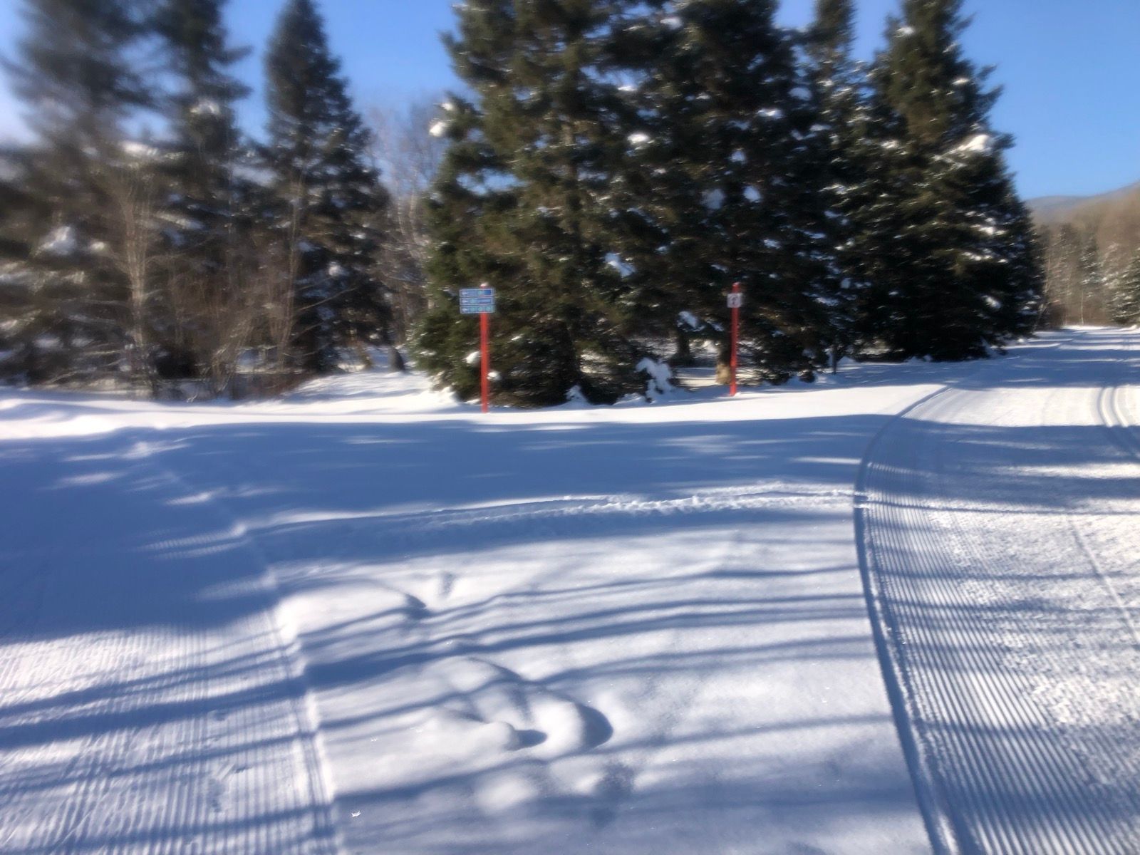 Strava Nordic Ski Activity