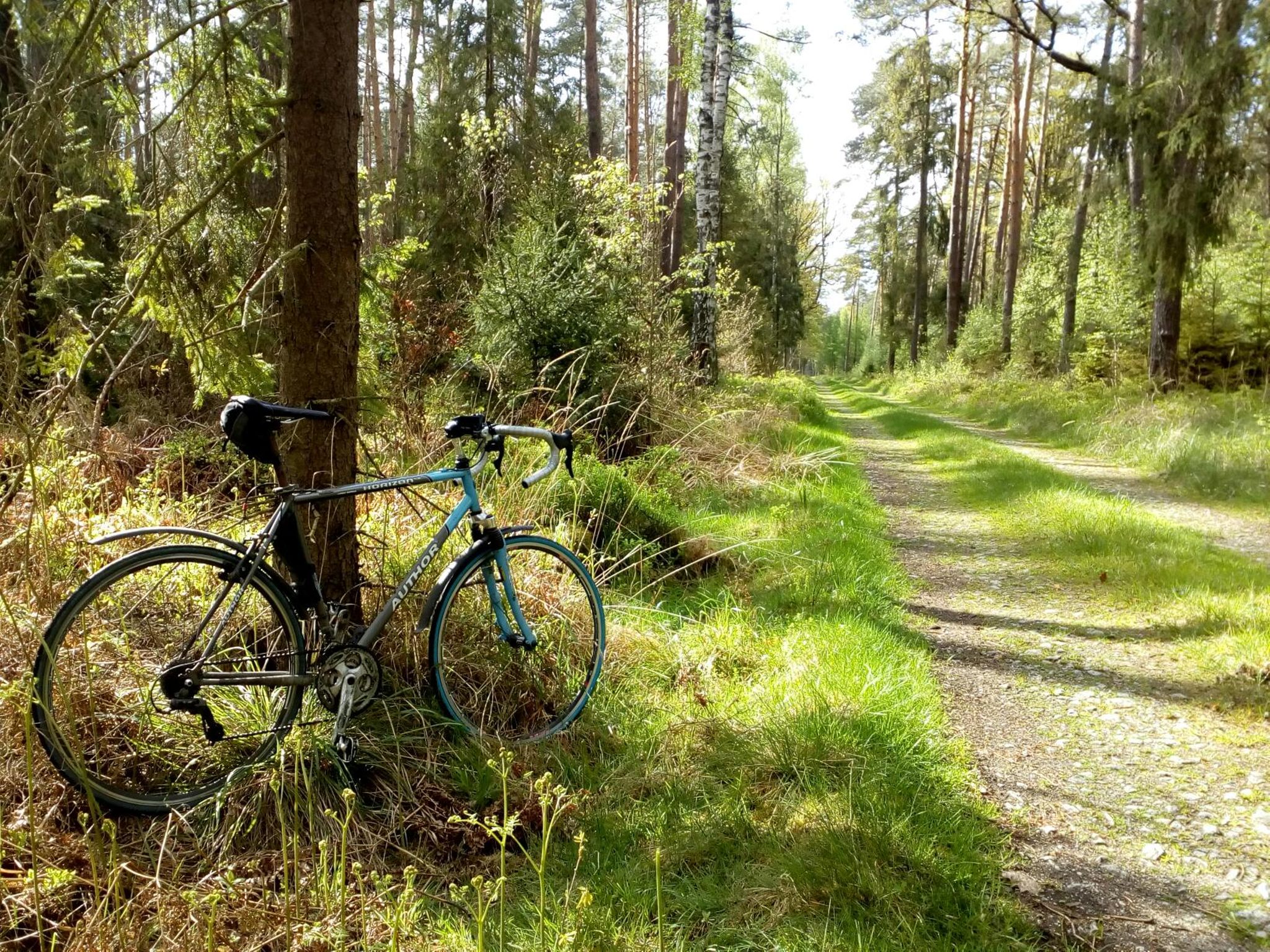 xELIsdAqHskDZ-P0aHgJb-sLITdu36zklqNtJkZY