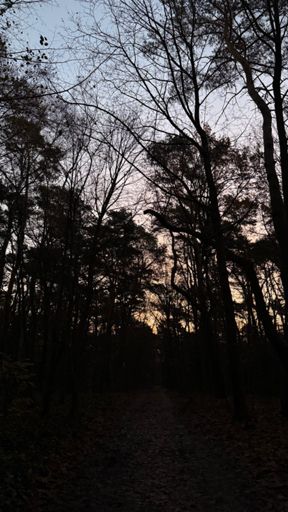 Der Tag erwacht im Naturpark „Fauler See“ um zwei Minuten vor Halb Acht. 🌝✨🌞☁️