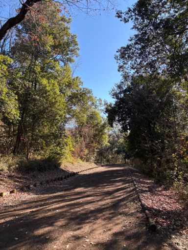 非常に手入れの行き届いているコース。歩行者よりランナー優先。と看板に書いてる。