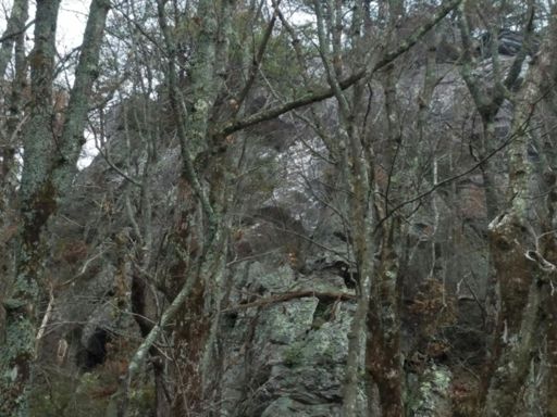Still a little bit of snow left near the top of Cheaha.