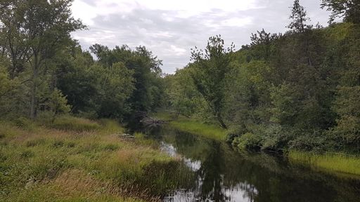 Ferguson's Lake creek