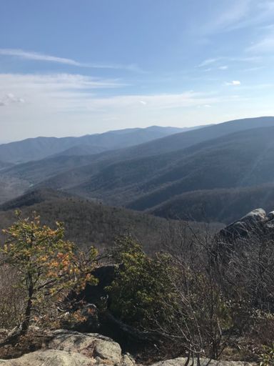 Robertson Mountain View 2