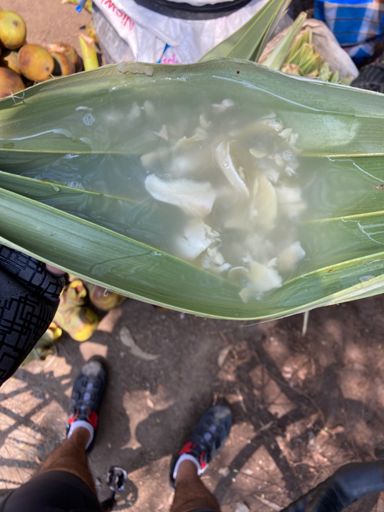 Nongu powered as always