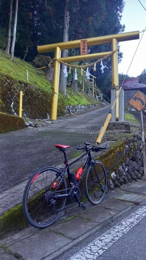 ん？どこかでみたような黄金の鳥居…ってことで朝のアップに走ってみる