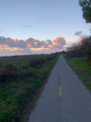 Sometimes I feel like Santa Cruz looks like Ireland