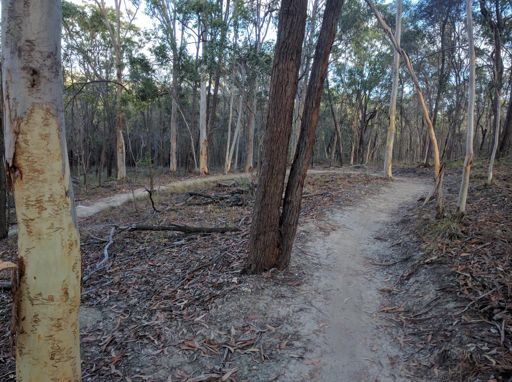 QLD Trail's sweet as