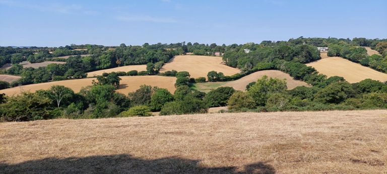 This emphasises the acute rises and drops - compare with the photo at 12.24 - became smoother, as  the landscape became less dramatic. Having said that, our route contained several drops where we thought it can't go down anymore only for it to do so. Included one close to Polperro and Looe, which I will explore to remove.