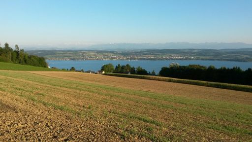 Lac de Morat depuis Mur (FR)