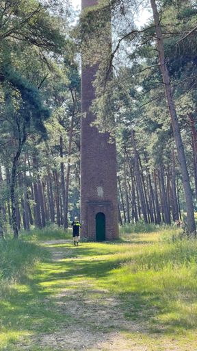 Der Verursacher…😬