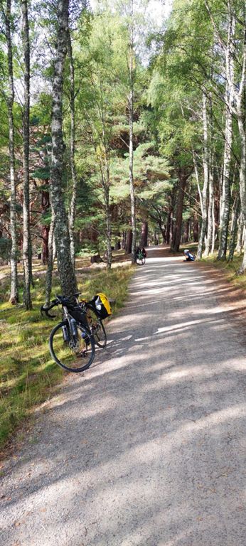 Having discovered the B&B for this evening had cancelled our booking, because I had not seen nor acted on emails about non-payment due to Halifax's fraud dept stopping payment despite them having a record about this trip and then learning that the B&B was now full, Lorraine checked Google Maps and rang the Commercial Hotel in Alness which had 2 single rooms and secure bike storage. Lorraine rightly advised it better to delay our departure and book now  and have certainty during the day rather than trying to find somewhere whenever we reached the town. We estimated arrival by 20.00, rang at that time, finishing the day nearer 21.00.