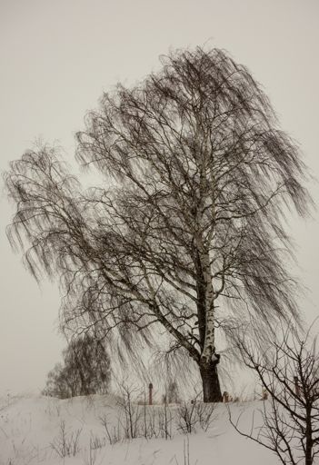В Соколово.