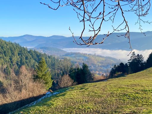 Panorama depuis le Katzenstein