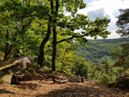 VTT autour de Lutzelbourg