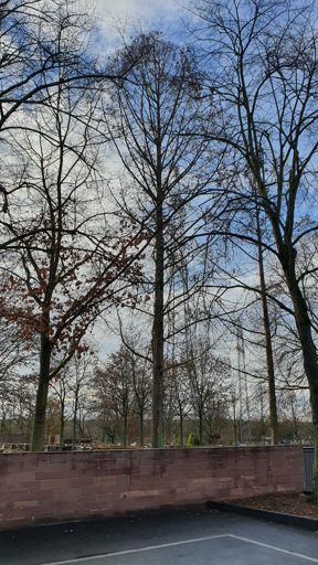 Kleinostheim_ID24193_UM_Friedhofstr._Friedhof