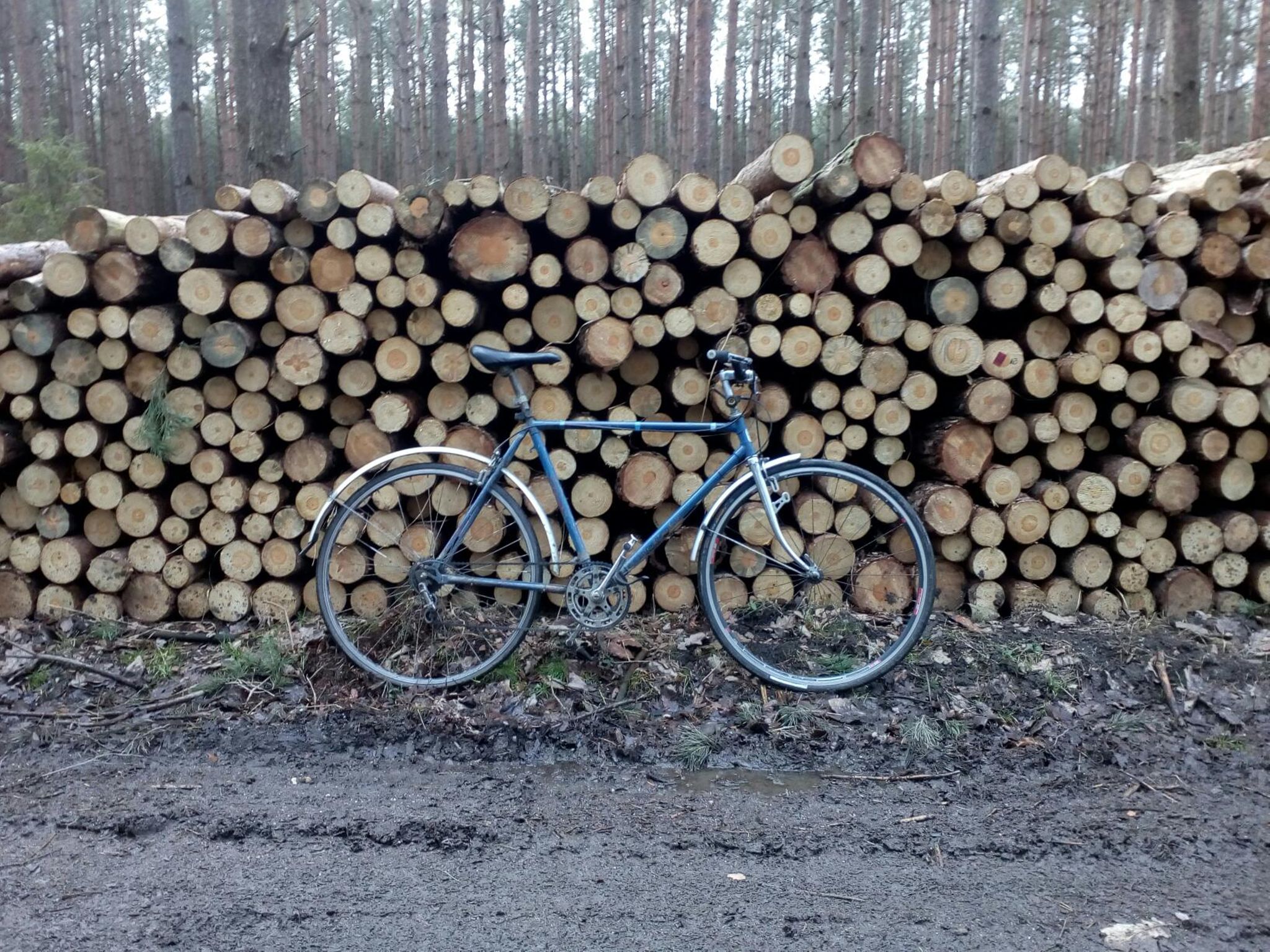 x_Ksx9-KbZ-ypFggDKHtOiU6ZDelVf4C3jKMr3qt