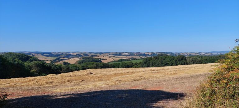 At top of a climb before Totnes