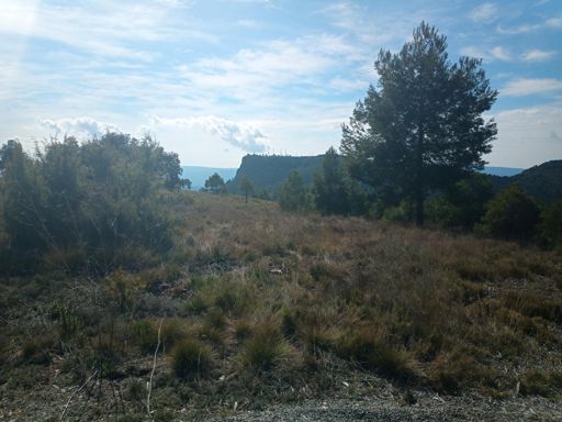 Pico del Remedio visto desde la cima del Puerto de El Remedio.