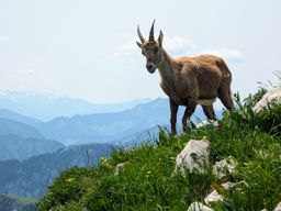 Dent et Roc d’Oche