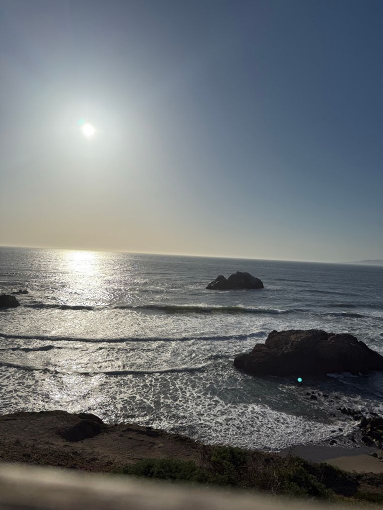 Butterlap (Presidio & Golden Gate Park) photo 40